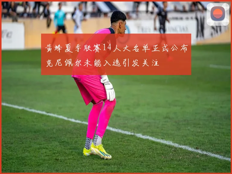 黄蜂夏季联赛14人大名单正式公布克尼佩尔未能入选引发关注