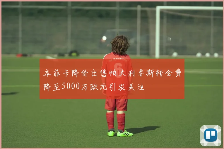 本菲卡降价出售帕夫利季斯转会费降至5000万欧元引发关注