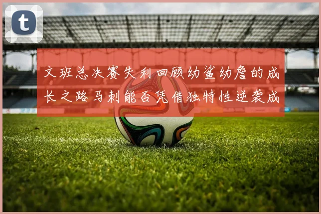 文班总决赛失利回顾幼鲨幼詹的成长之路马刺能否凭借独特性逆袭成功