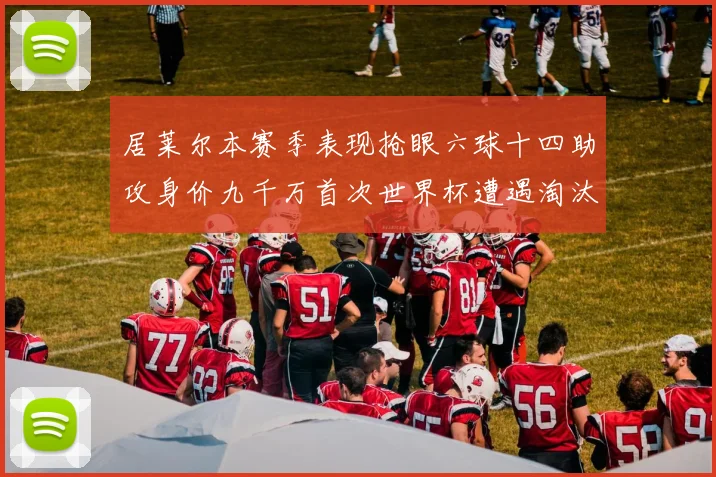 居莱尔本赛季表现抢眼六球十四助攻身价九千万首次世界杯遭遇淘汰